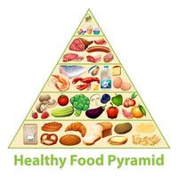 Healthy food pyramid chart vector