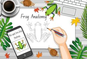 Top view office work table with frog drawing vector