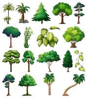 Set of variety of plants and trees vector