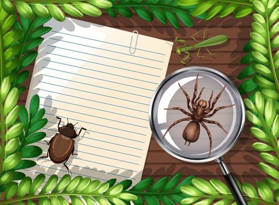 Top view of blank paper on table with leaves and insects elements