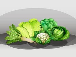 muchas verduras diferentes en un grupo vector