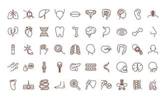 Human body anatomy and health icon set vector