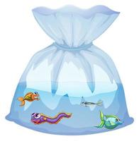 Cute fishes in plastic bag cartoon isolated vector