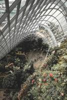 Singapur, 2018-turistas se reúnen en el jardín junto al biodomo de la bahía foto