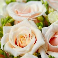 beautiful bridal bouquet of roses at a wedding party photo