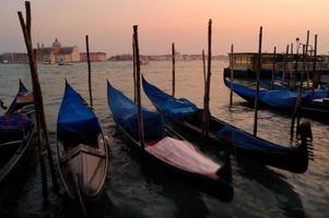 Gondolas en la Plaza San Marco, Venecia photo