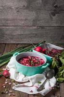 Beetroot soup with chives and radishes photo