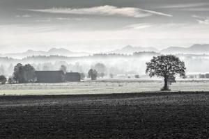 Morning fog in rural Bavaria, Germany