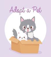 Pet adoption with cute little cats vector