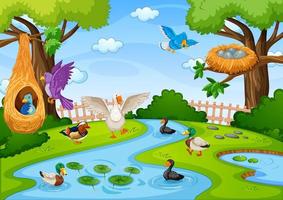 Stream in the forest scene with many birds vector