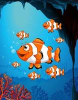 Many exotic fishes cartoon character in the underwater scene with corals vector