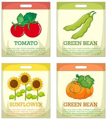 Set of different seed packaging on white background