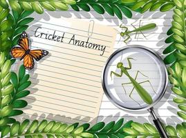 Blank paper top view with leaves and butterfly and mantis elements vector