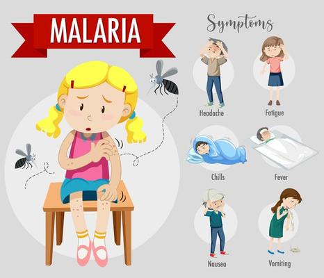 Malaria symptom information infographic