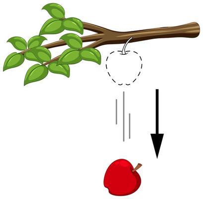 Falling apple for gravity experiment