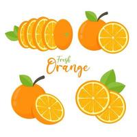 Orange fruit set vector