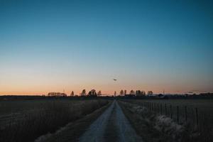 camino de tierra al atardecer foto