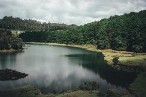 cuerpo de agua en el bosque foto