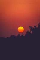 Red sunset and tree silhouettes photo