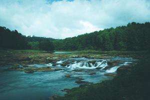 río a través de un bosque foto