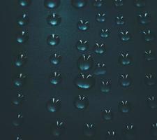 Close-up of water droplets photo