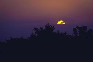 Silhouette of trees at dusk photo