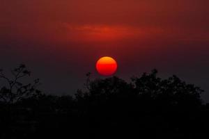 Sunset above trees photo