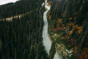 Aerial view of empty road through the forest during daytime photo