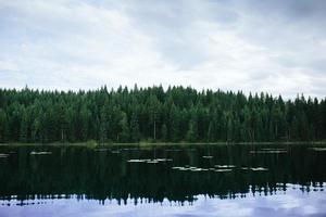 Green trees beside body of water under cloudy sky during daytime photo