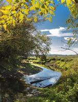 River surrounded by trees on a sunny day photo