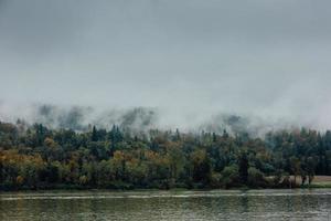 Green trees near body of water photo