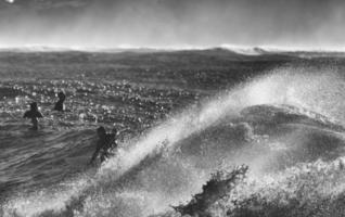 Sydney, Australia, 2020 - Grayscale of people surfing on waves photo