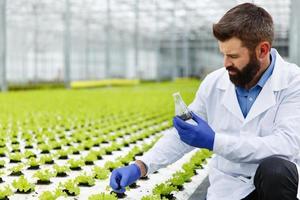 el hombre toma una sonda de vegetación en un matraz erlenmeyer foto