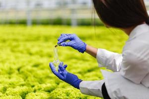 investigador toma una sonda de vegetación en un matraz de fondo redondo foto