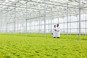 Two researchers examining the green house photo