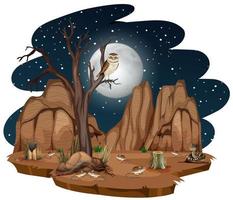 Wild desert with desert animal at night on white background vector