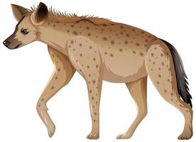 animal hiena sobre fondo blanco vector