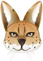 Serval animal aislado sobre fondo blanco. vector