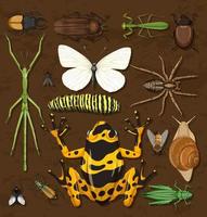 Conjunto de diferentes insectos sobre fondo de papel tapiz de madera vector