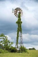 Molino de viento negro y gris con plantas de vid. foto