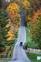 Old horse and carriage crossing road during daytime photo