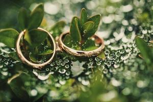 Wedding-ring on green