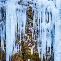 Frozen waterfall of blue icicles photo