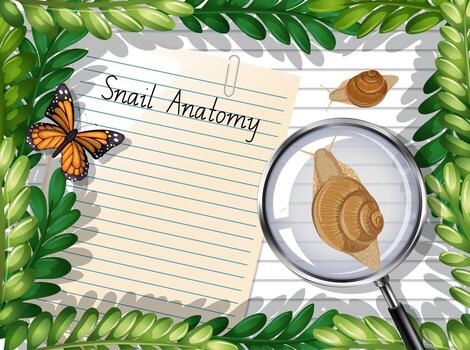 Blank paper top view with leaves and butterfly and snails elements vector