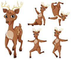 Set of deer cartoon character vector