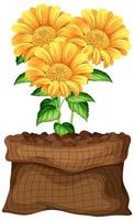 Beautiful flower in brown bag on white background vector