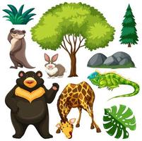 Set of cute wild animal and nature vector