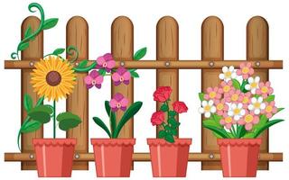 Beautiful flowers in pots on white background vector