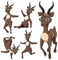 Set of deer cartoon character vector