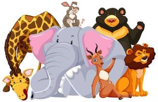 Group of wild animal vector